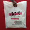 large nylon bag